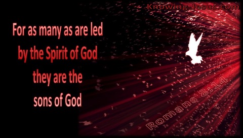 Romans 8:14 Led By The Spirit (red)